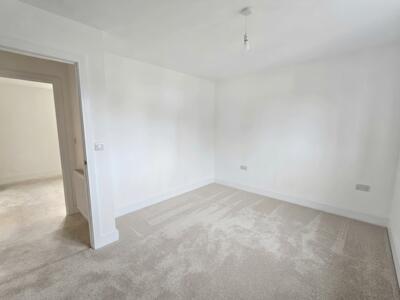 Picture 28